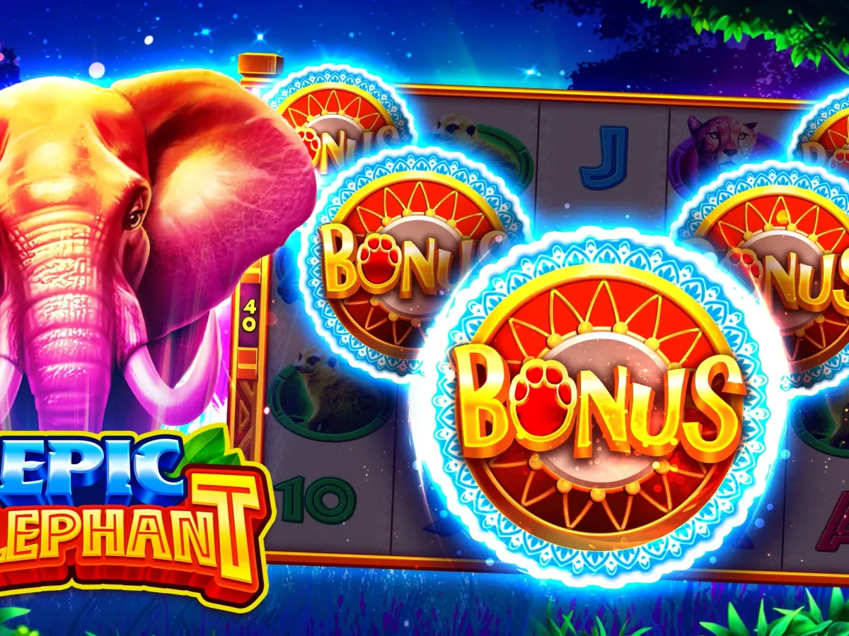 Akses barbar77 VIP Premium screenshot
